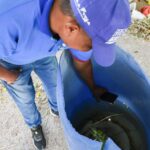 Alerta sanitaria por chikungunya y refuerzan medidas para frenar su avance